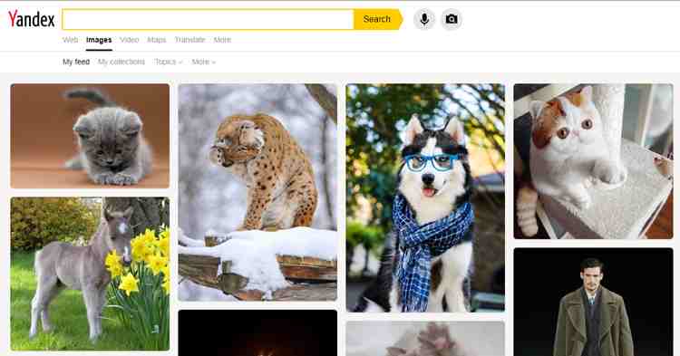 Yandex - 图片搜索引擎.png