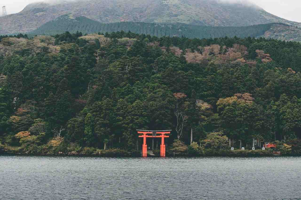 【老魏聊电商】 亚马逊运营五部曲之：（二）坚持以“站内为主，站外为辅”的选品方式