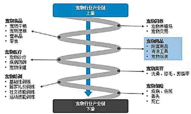 什么值得卖 ？宠物用品海外需求旺盛！