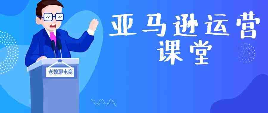 【老魏聊电商】关于平台和站点，亚马逊初级卖家应该知道的那些信息