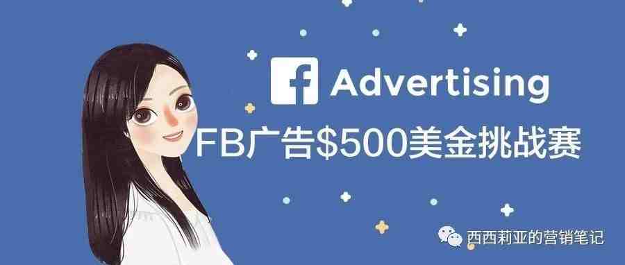 【Shopify + FB Ads】如何从0开始，做到你的第一个$500美金销售额