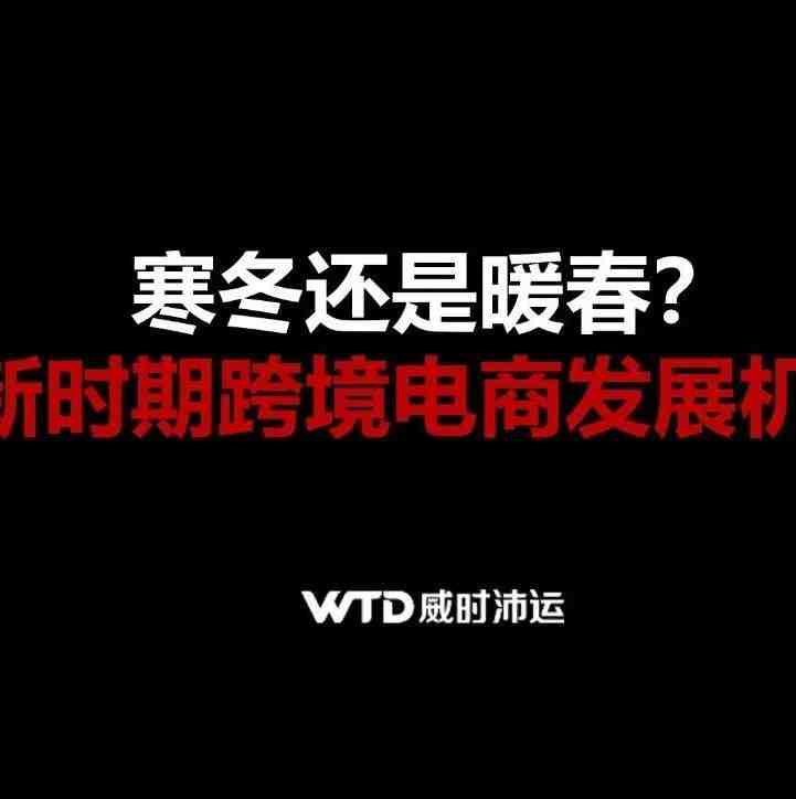 威时沛运市场总监— —王和：【寒冬还是暖春？新时期跨境电商发展机遇】