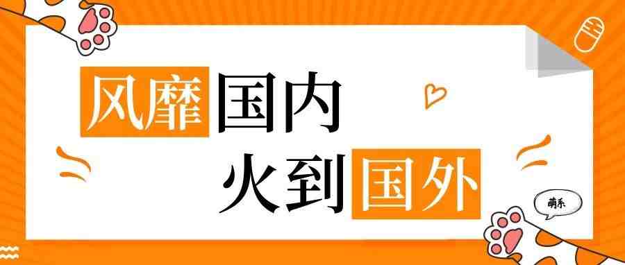 风靡国内，火到国外，这款爆款究竟有什么魔力？