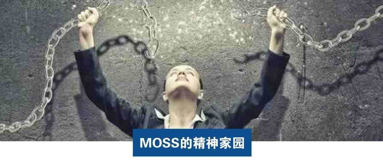 Moss：被亚马逊逼到墙角的卖家，应该何去何从？