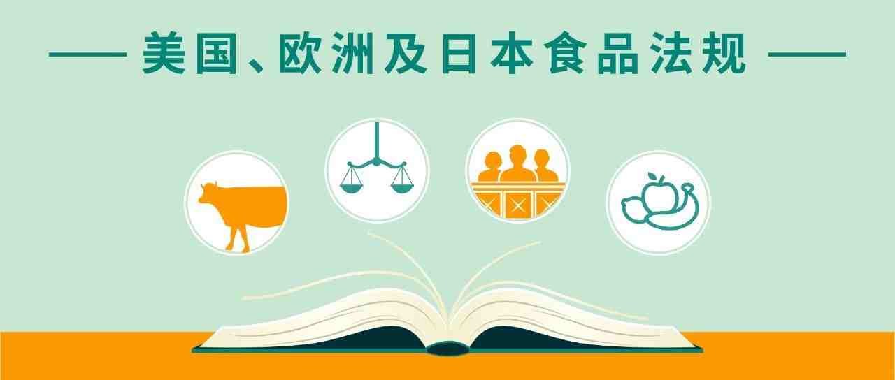 中国卖家的出口蓝海竟是TA？你要的食品攻略在此！