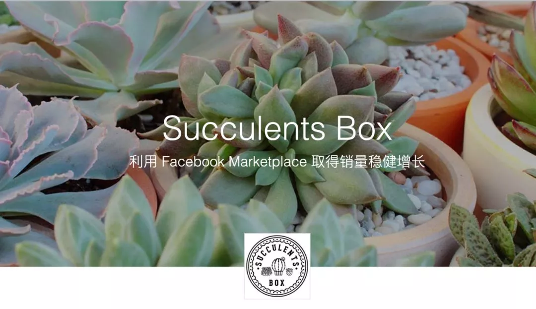 <成功案例>Succulents Box｜利用Facebook Marketplace 取得销量稳健增长