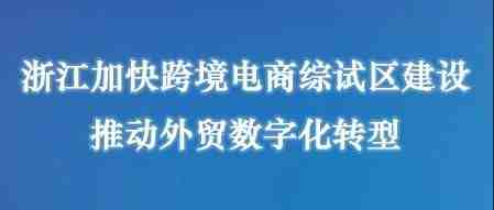 【两会好声音】省商务厅厅长盛秋平：浙江加快跨境电商综试区建设，推动外贸数字化转型