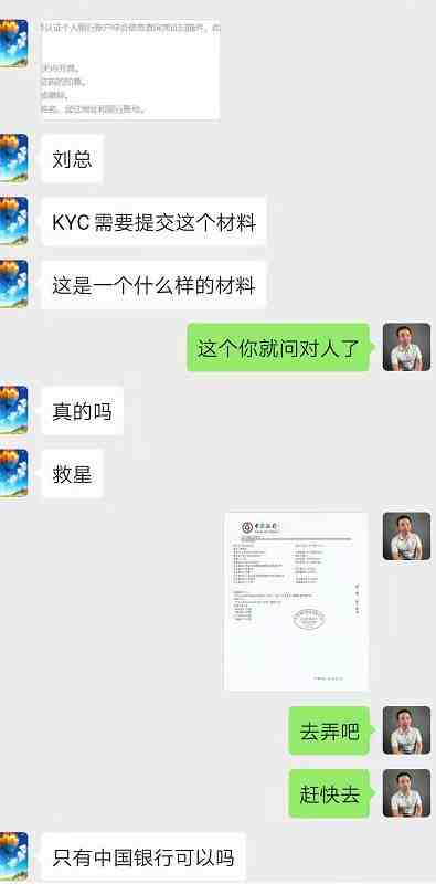 关于亚马逊欧洲KYC审核，需要提供的个人银行账户综合信息查询凭证是什么