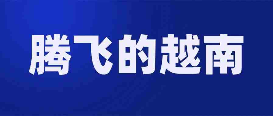 深度解析：从2019到2020，越南电商经历了什么，将会怎样发展