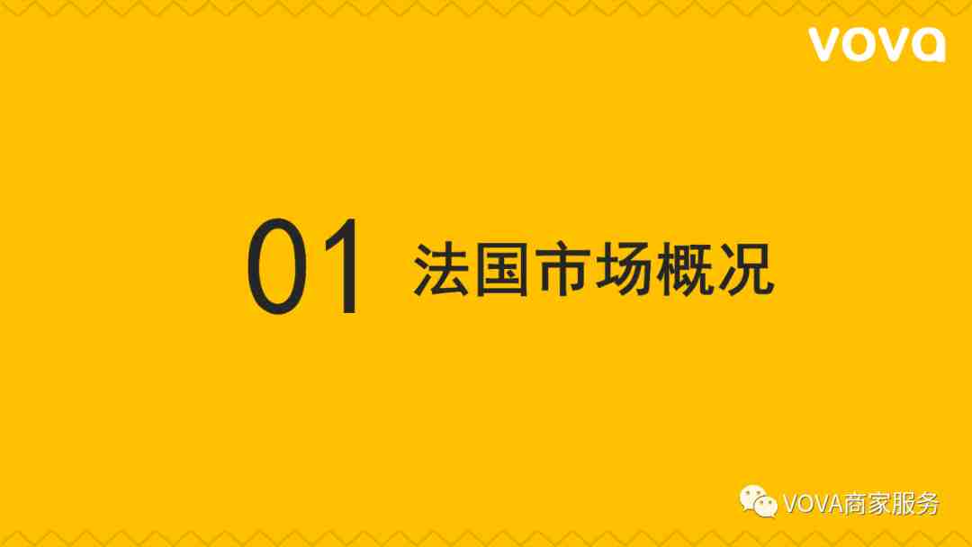 法国市场特征分析