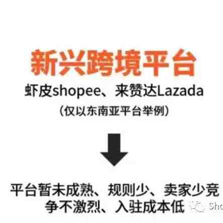 Shopee新手：为什么上传几百件产品就是不出单，如何快速出单？