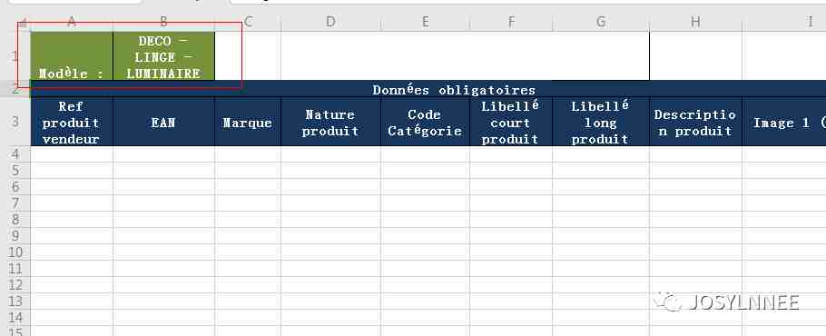 如何在Cdiscount批量产品上传 - 实操l'option simplifiée