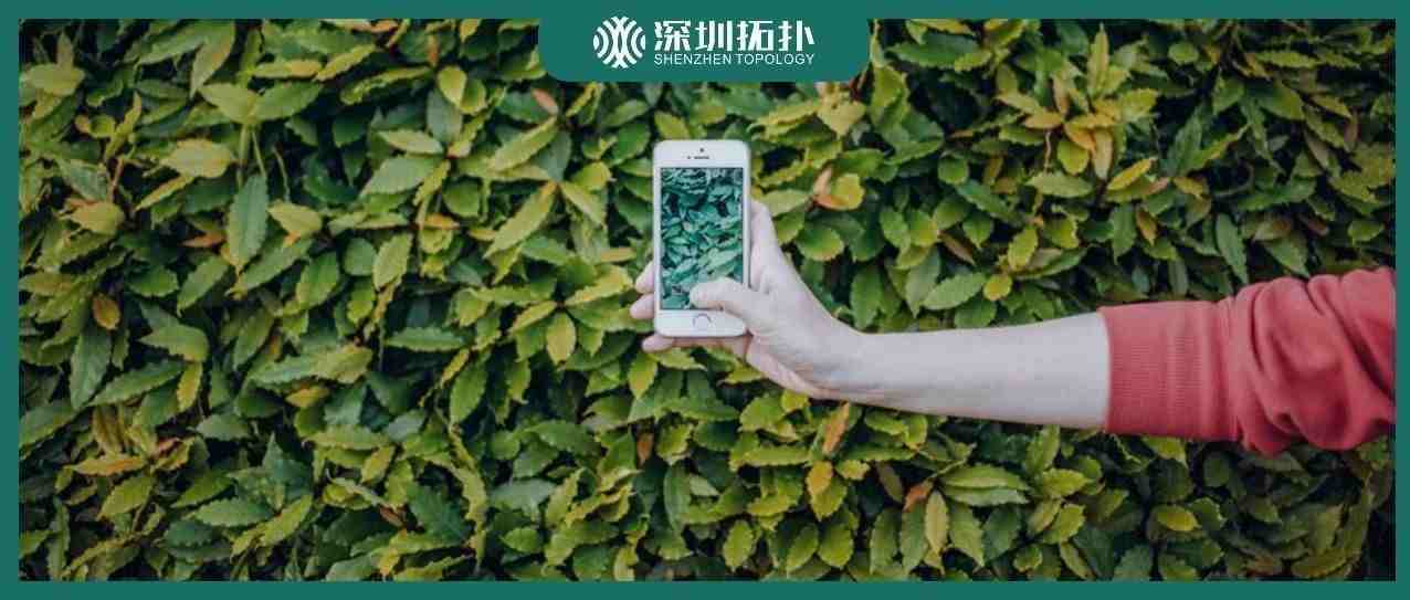 想让你的Instagram账户更好地吸引受众？这5个方法简单却实用