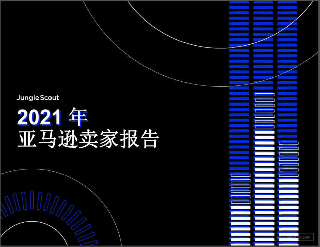 独家首发！《2021年亚马逊卖家报告》出炉