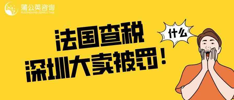 法国突袭查税，深圳跨境大卖被罚495.0891万欧元！