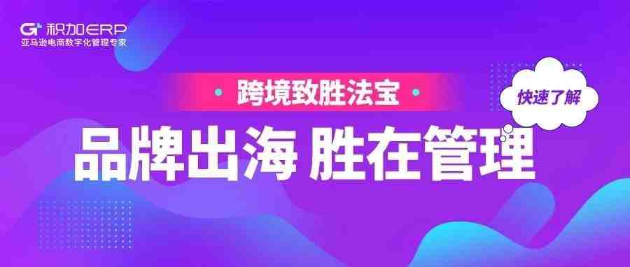 品牌化运营后月收4000万美金，这些大卖企业是如何做到的？