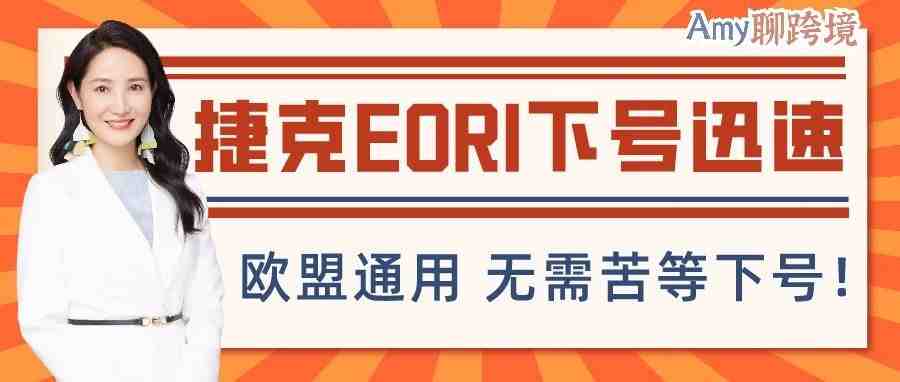 Amy聊跨境：德国停发E​ROI号，卖家苦等无果，解决方法来了！