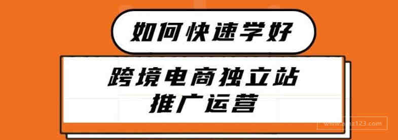 2021年新人如何快速学好跨境电商独立站推广运营1.0丨出海笔记