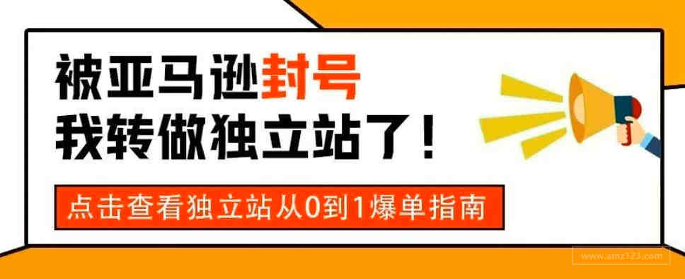 亚马逊转型独立站，从0到1的爆单指南！