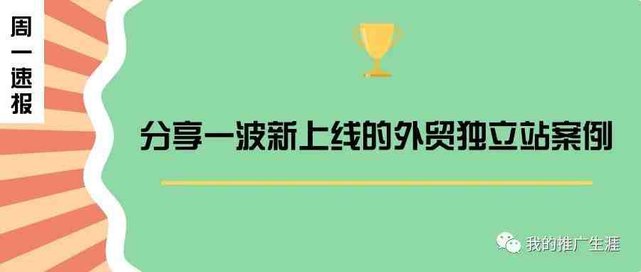 分享一波新上线的外贸独立站案例