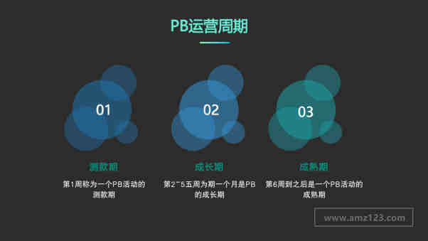 PB广告用得溜，产品毛利低不了！Wish大卖教你PB新玩法