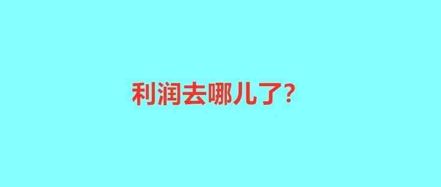 利润去哪儿了？跨境大卖营收24亿，净利润反下降30%