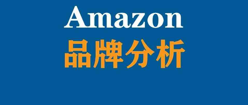 品牌分析—亚马逊最强大的数据洞察工具