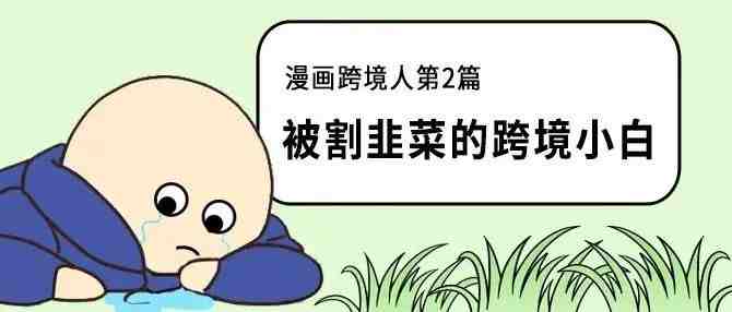 跨境小白被割韭菜的故事