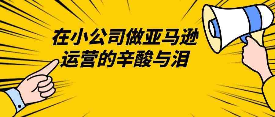 在小公司做亚马逊运营的辛酸与泪