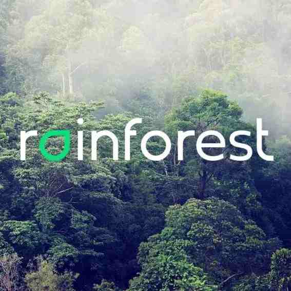 “亚洲版Thrasio”雨林Rainforest正式登陆中国，开启品牌收购新机遇