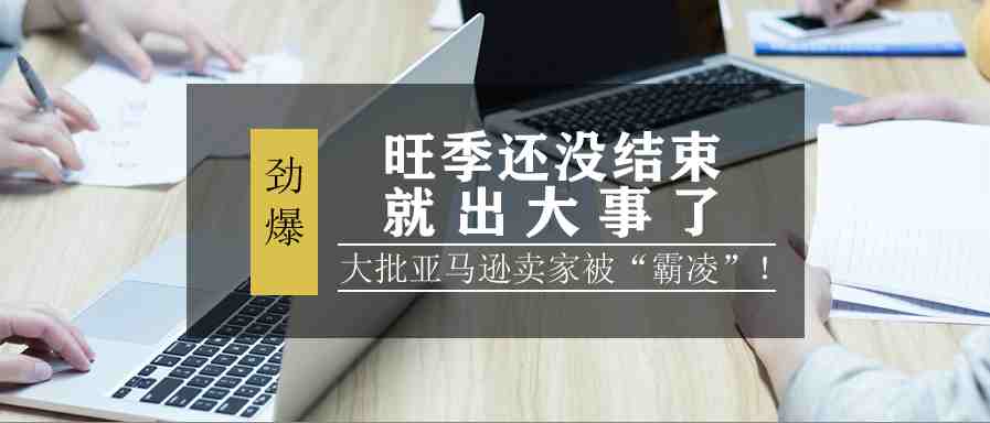 旺季还没结束就出大事了，大批亚马逊卖家被“霸凌”！