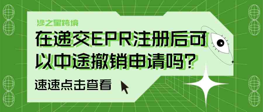 在递交EPR注册后可以中途撤销申请吗？