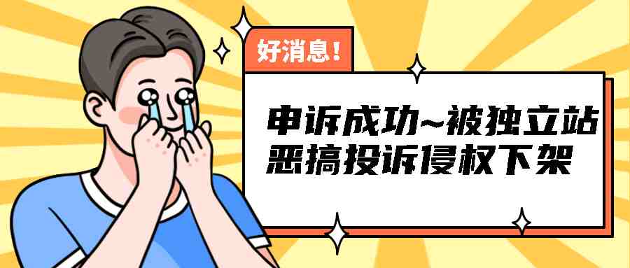 成功案例！分享一位卖家被独立站恶搞投诉侵权下架，如何自己申诉回来