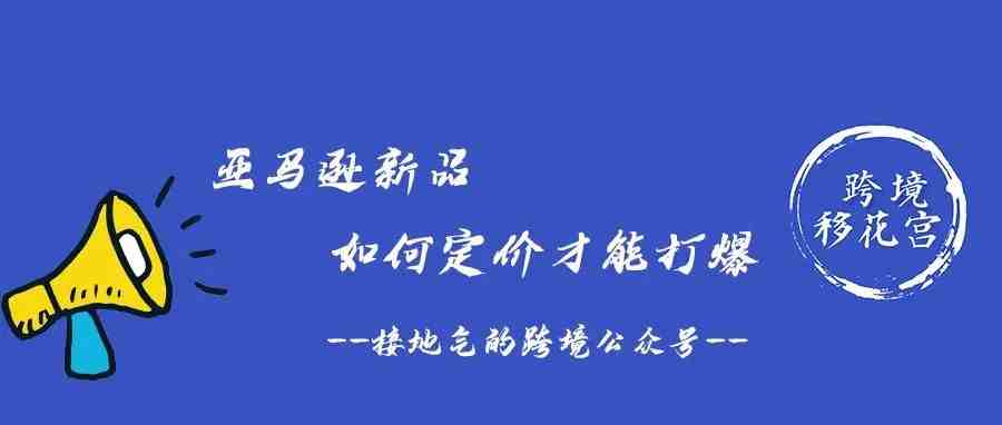 亚马逊新品如何定价才能打爆