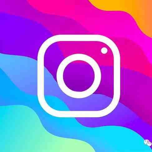 如何有效且高效地管理 Instagram 关注者