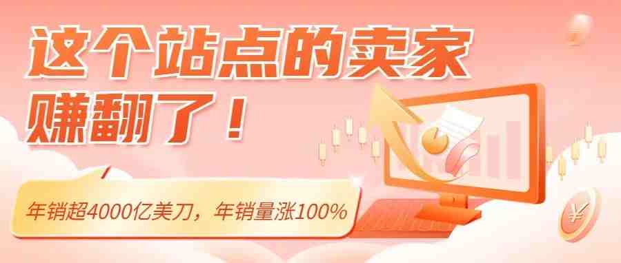 年销超4000亿美刀，年销量涨100%，一上架就卖爆！这个站点的卖家赚翻了！