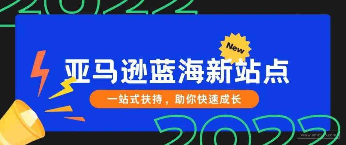 年销超4000亿美刀，年销量涨100%，一上架就卖爆！这个站点的卖家赚翻了！