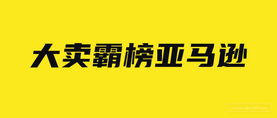 销量暴涨705%！亚马逊大卖靠这一产品霸榜BS！