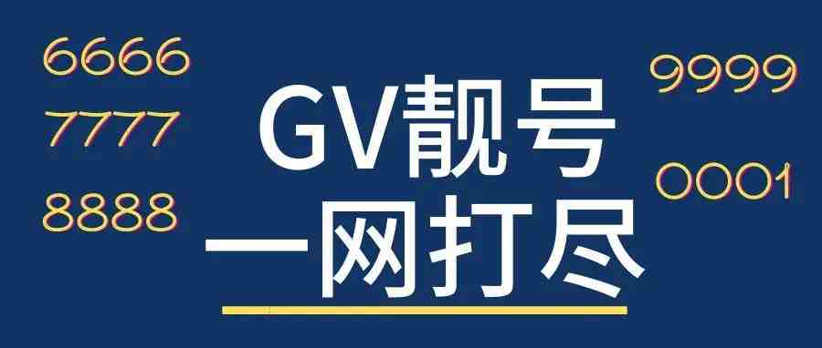 【新手0-1】如何获得一个GV靓号？