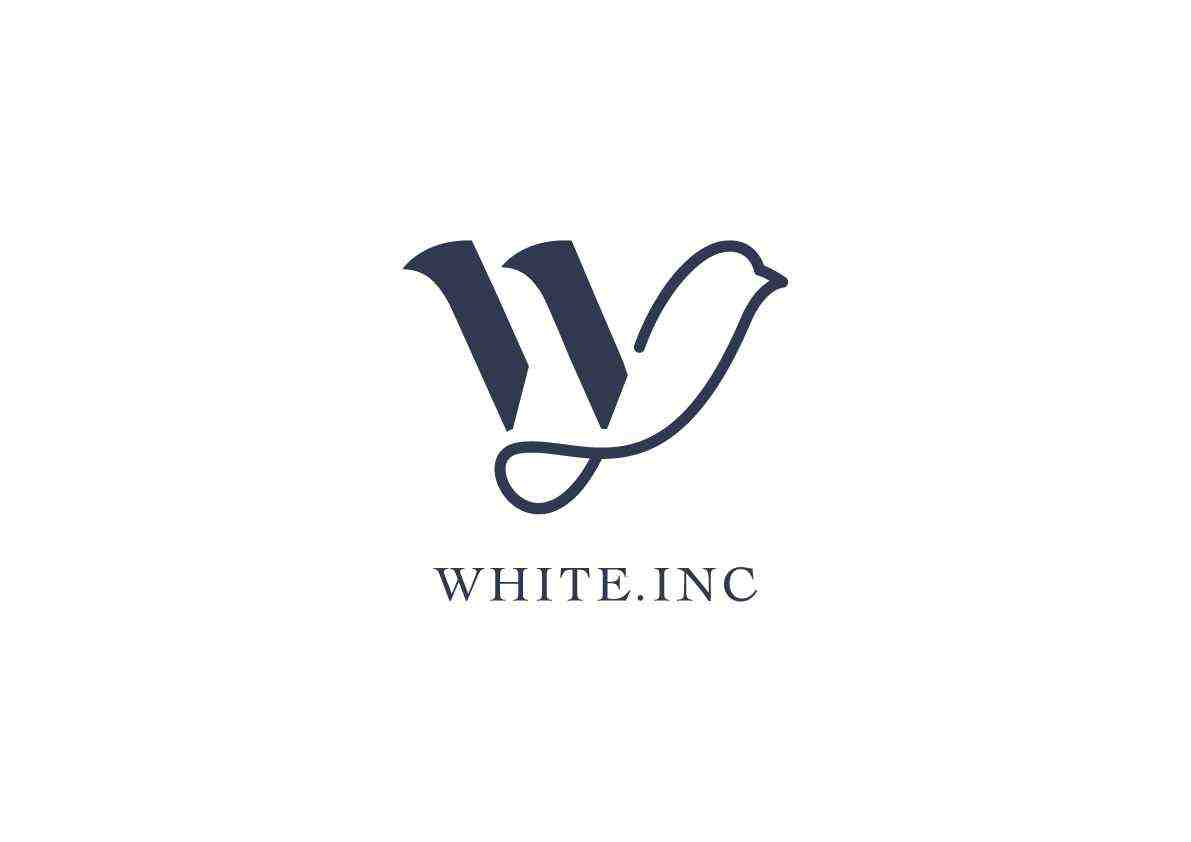 印度DTC聚合公司White获100万美元种子轮融资