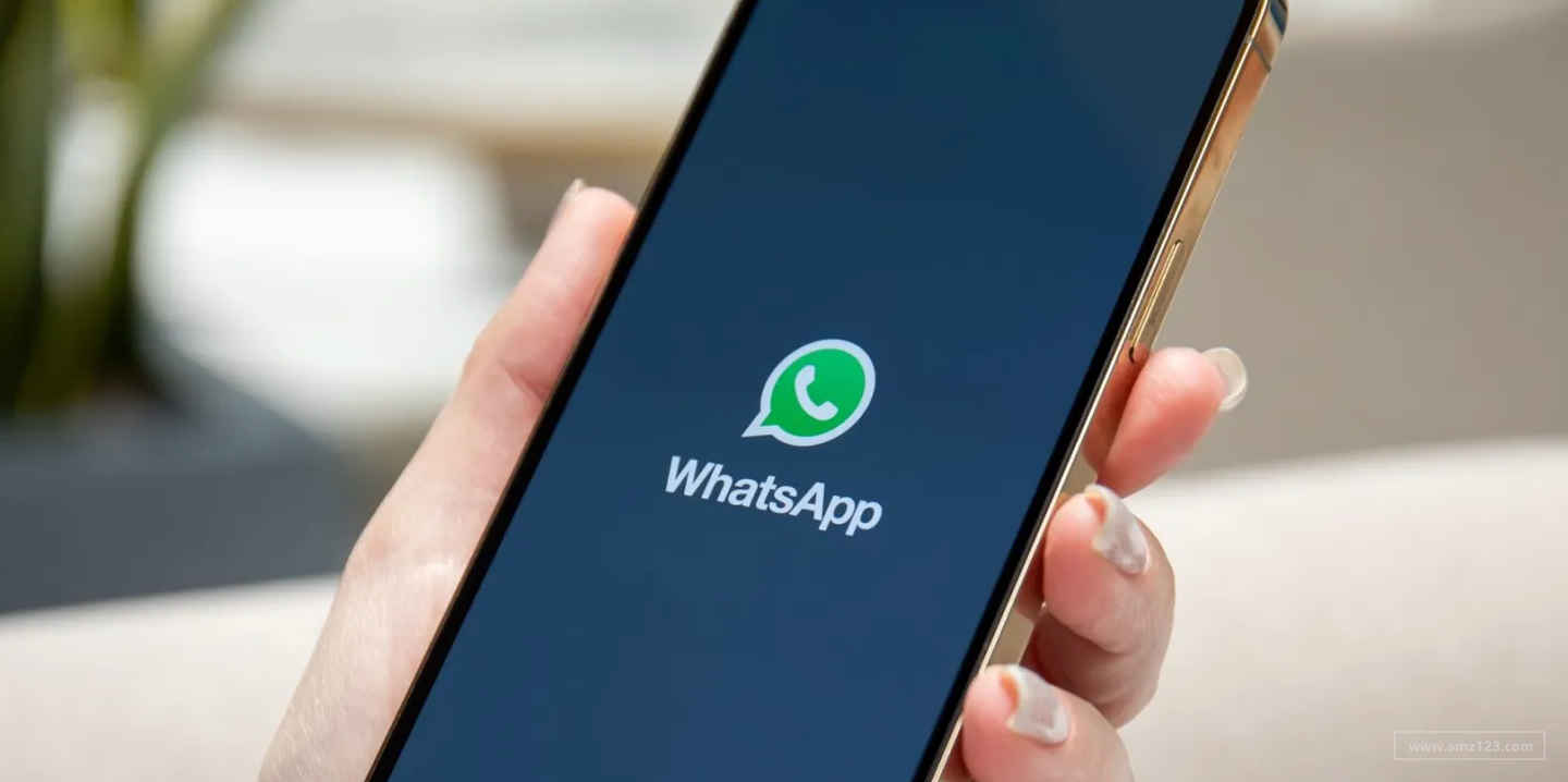 黑五：WhatsApp是巴西郊区消费者的首选搜索平台！