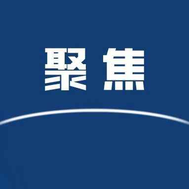 SHEIN被判令向跨境通支付约1200万元