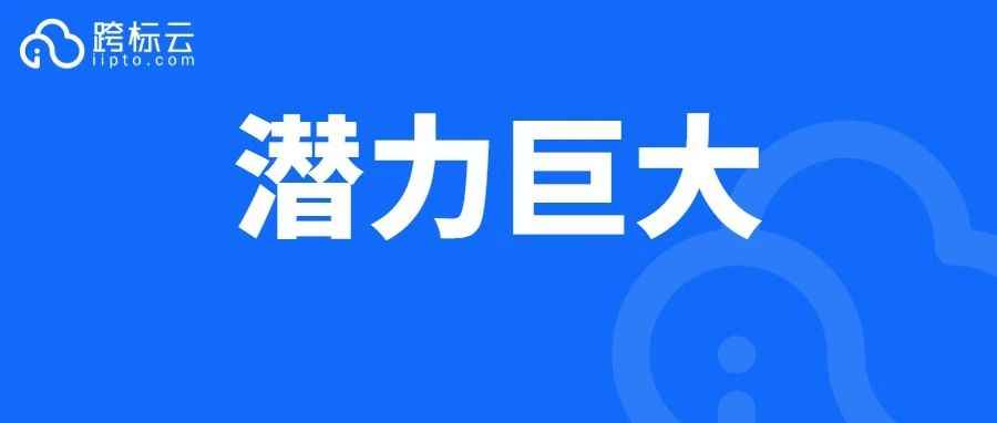 市场前景超千亿美元！跨境卖家迎来新商机？