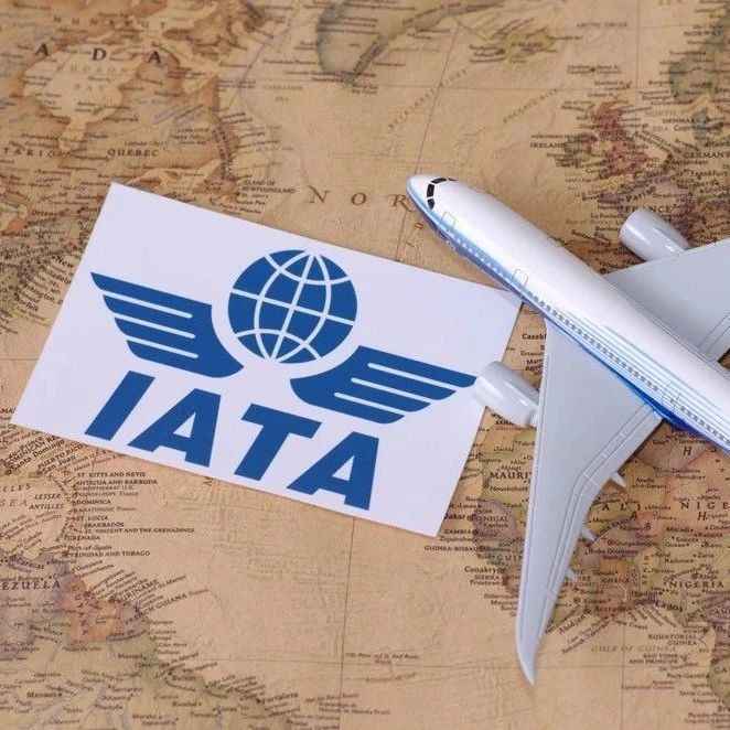 IATA：12月货运量再次下滑，拉美成为全年唯一需求正增长地区