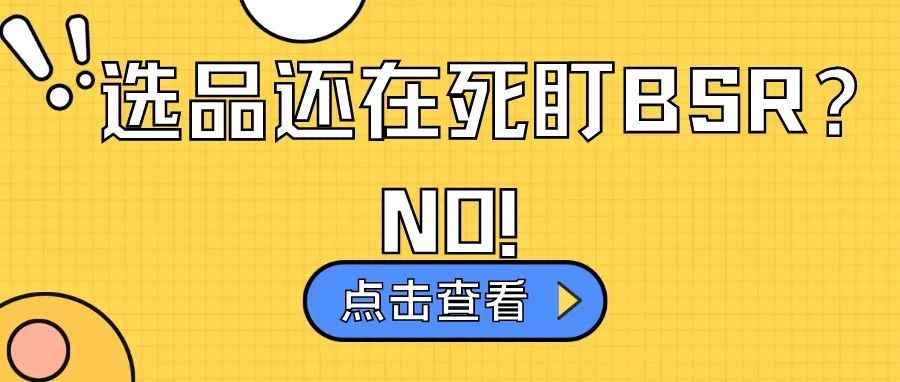 站内选品别再死盯BSR榜单啦,  一个方法教你挖掘细分类目下的海量产品数据!