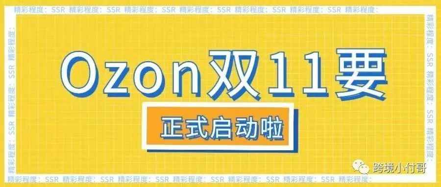 OZON也有双11？卖家们该怎么过！