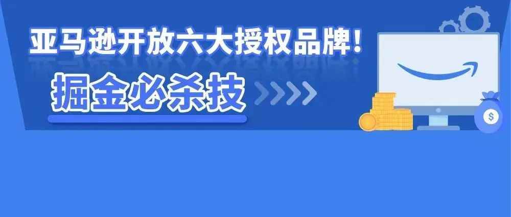 直接使用亚马逊官方品牌做生意，这些卖家逆风翻盘，业绩暴涨！