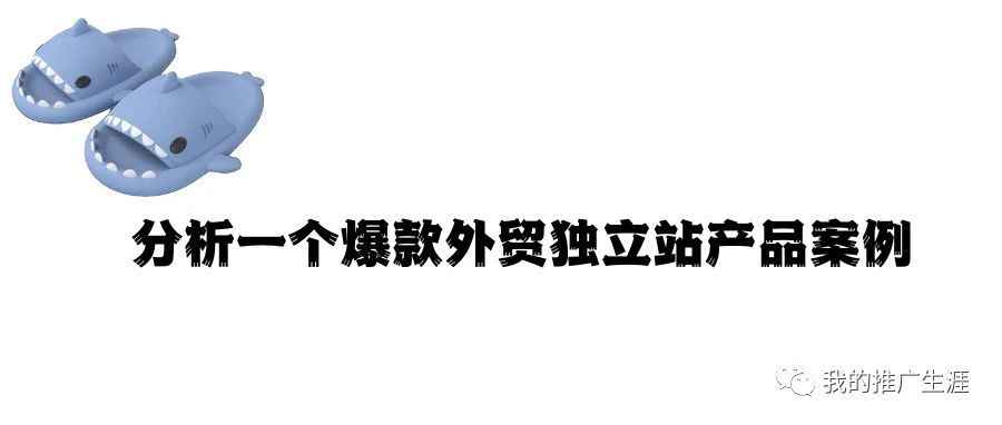 分析一个爆款外贸独立站产品案例