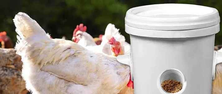 CHICKEN FEEDER 正在进行版权维权，卖家注意及时下架！